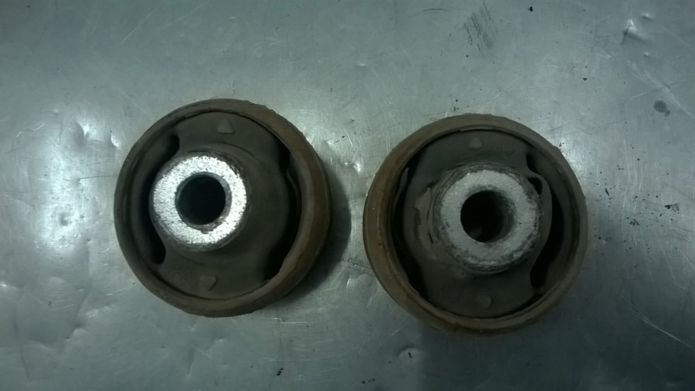 WP_20191004_16_58_25_Pro.jpg