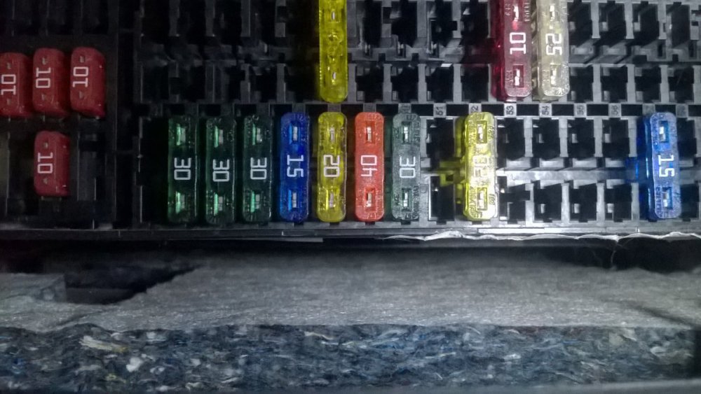 WP_20191105_004.jpg