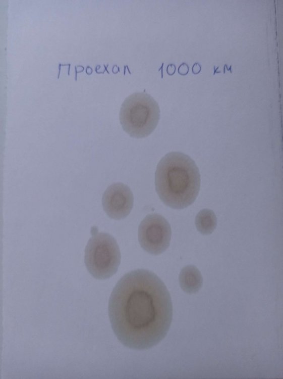 1586193231674.thumb.JPEG.c983af6755ec9c6a0ce7d70eb175d26c.JPEG