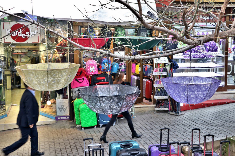 large.IMG_5054.JPG.4a239cf3a486eed5659d4