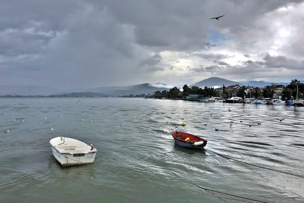 large.IMG_5926_.JPG.36953b38731ce44d2295