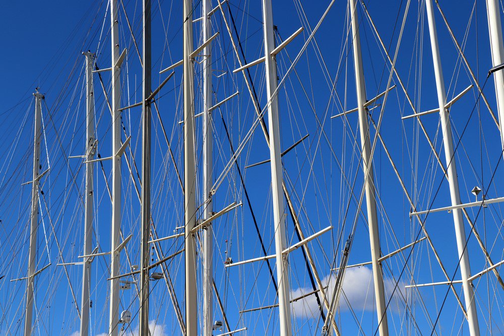 large.IMG_5965.JPG.075127e010841a0e13f48