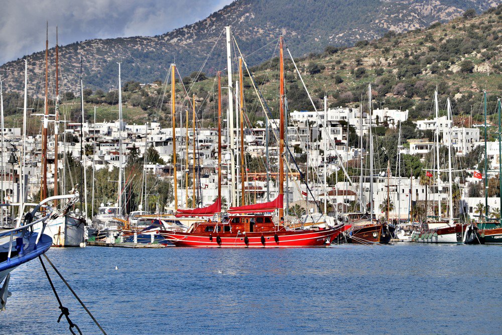 large.IMG_5968.JPG.50e04d1fc14da090b9887