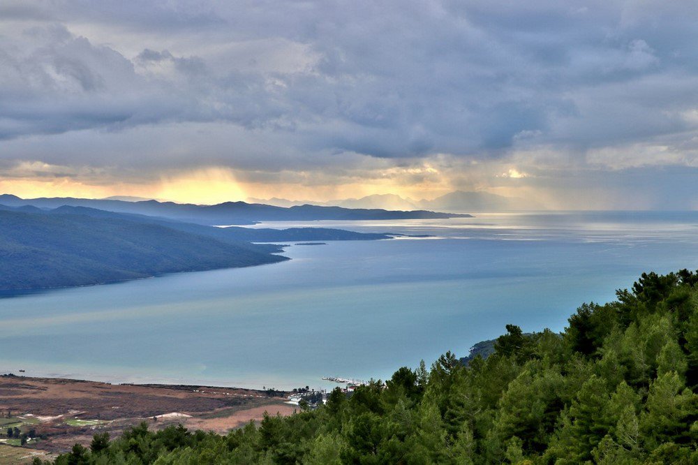 large.IMG_6174.JPG.3fe8db83f4f91601a1293