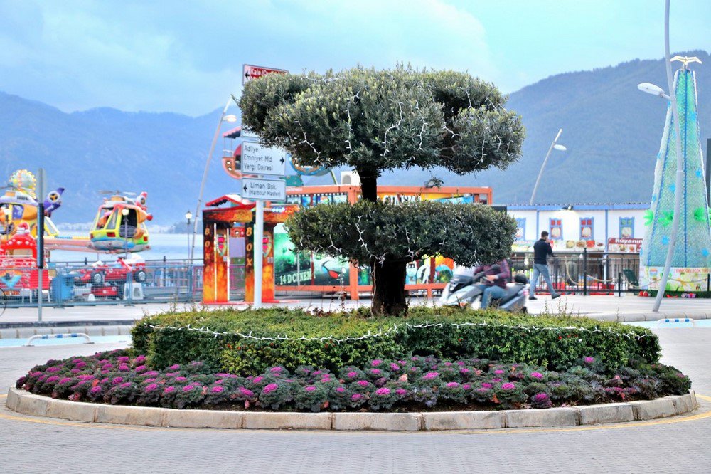 large.IMG_6259.JPG.8951e00704da4a2c8b7e1