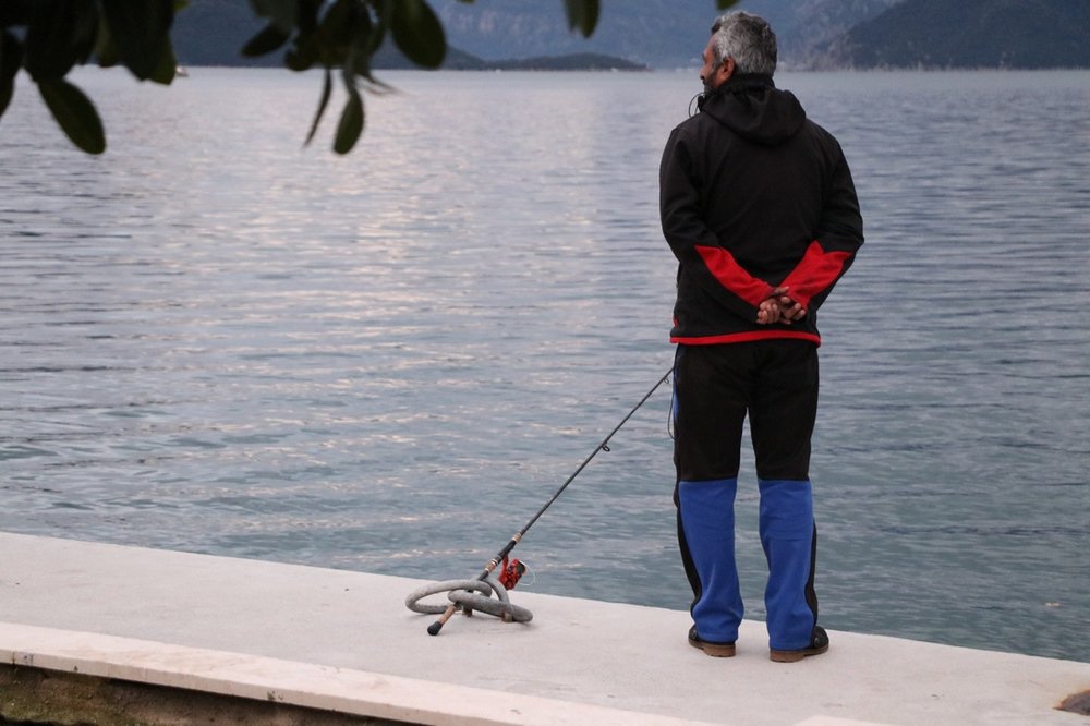 large.IMG_6314.JPG.e219a40d80519de69c889