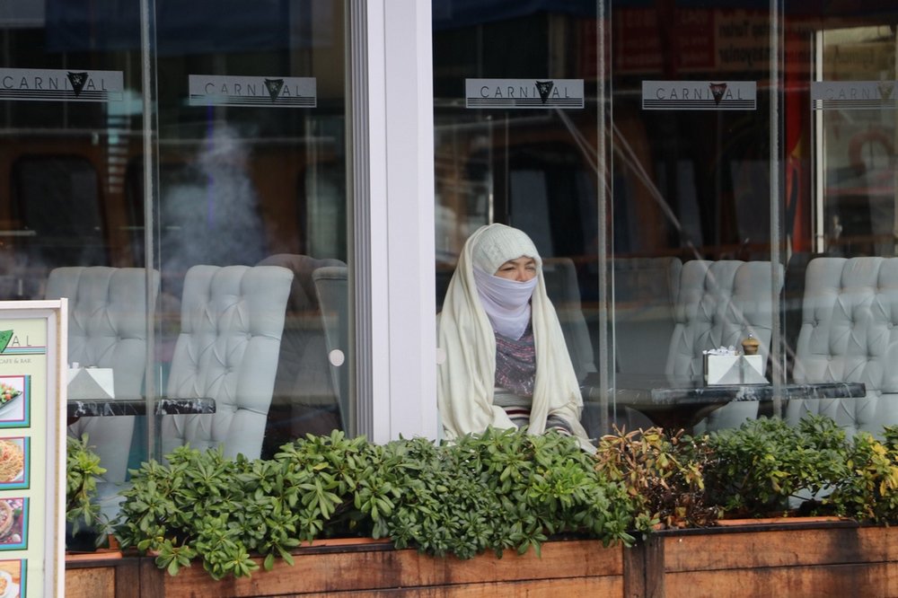 large.IMG_6460.JPG.920d6574436ca527ec2a1