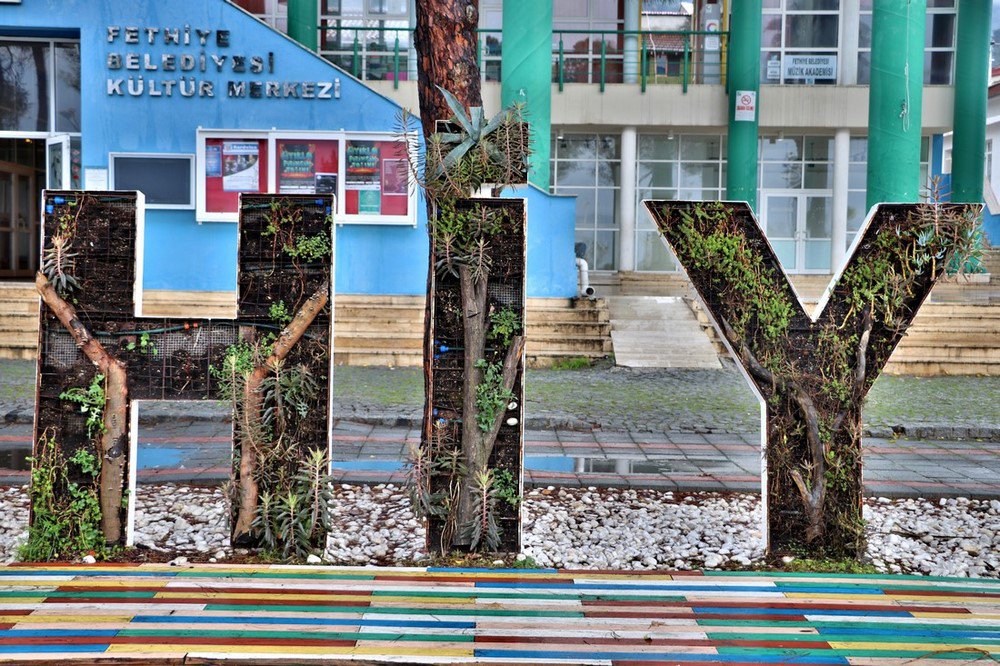 large.IMG_6531.JPG.765f6297de21a09d5a512