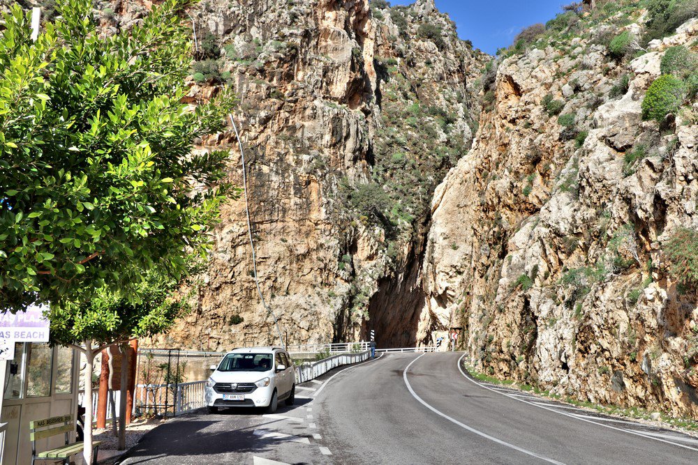 large.IMG_6694.JPG.9fd76ecc55f177fec2300