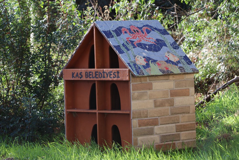 large.IMG_6740.JPG.6c969ad2a290094c841fe