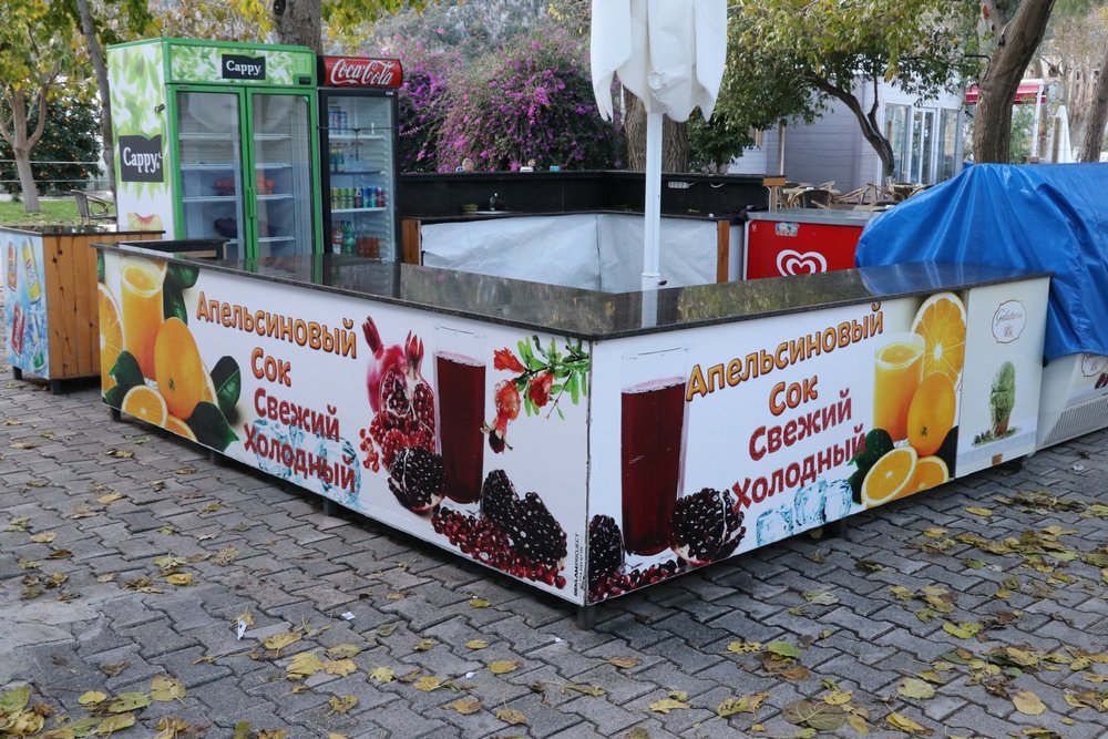 large.IMG_6821.JPG.d2e368ff6e31cf0a4e49b