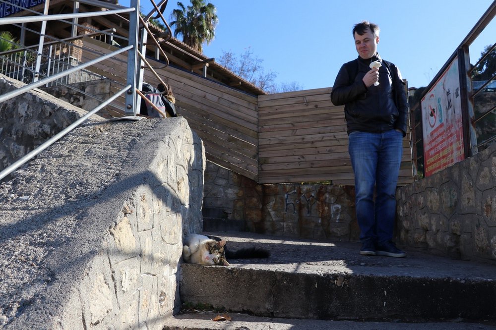 large.IMG_6915.JPG.2f254569c82d3b087f29e