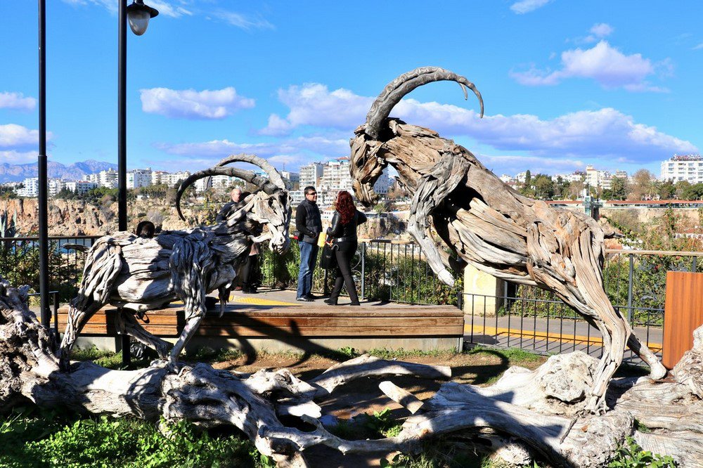 large.IMG_6934.JPG.3898879cbc93c641c1b88