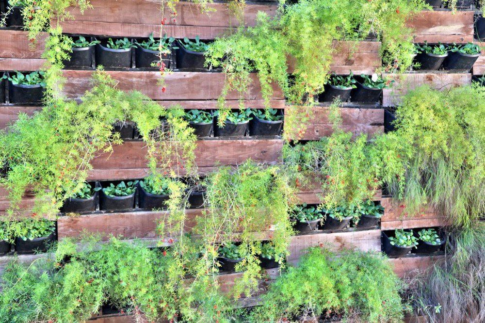 large.IMG_6942.JPG.4aeee22cdf0c07a3c4b14