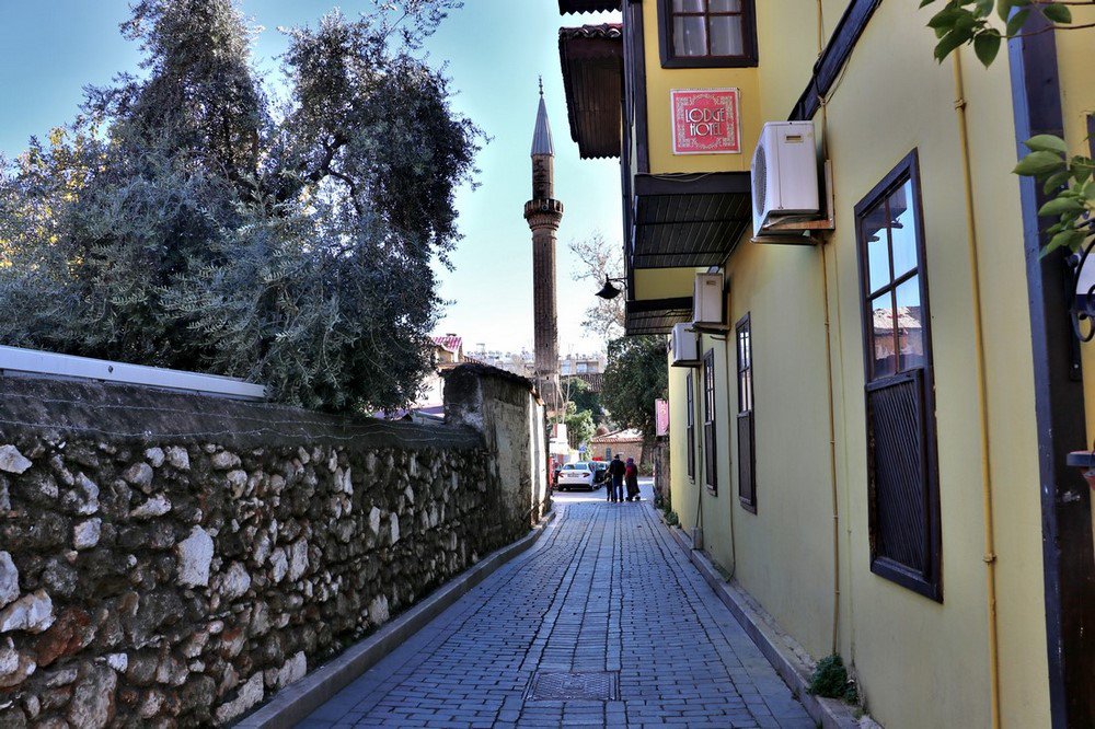 IMG_6992.JPG