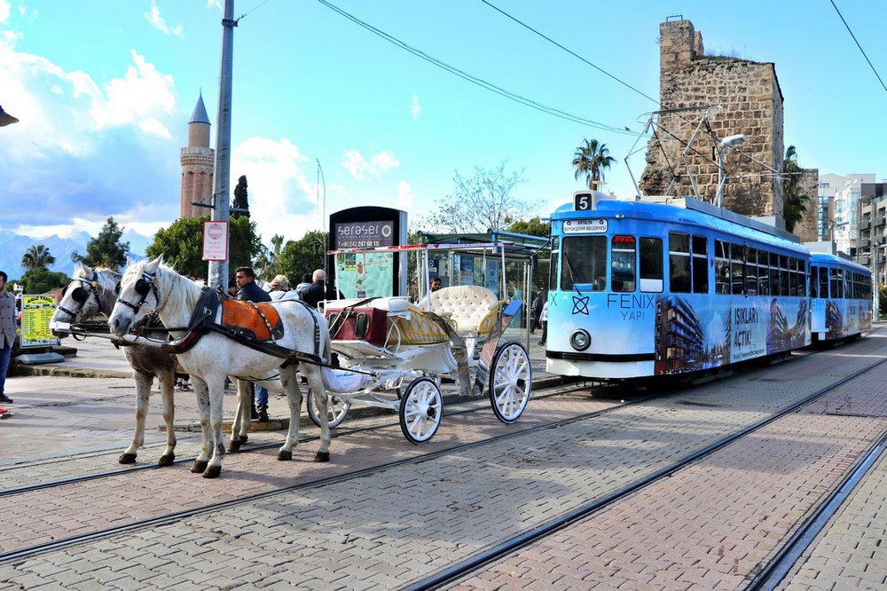 large.IMG_7054.JPG.26f0a8b4b39e63086ee19