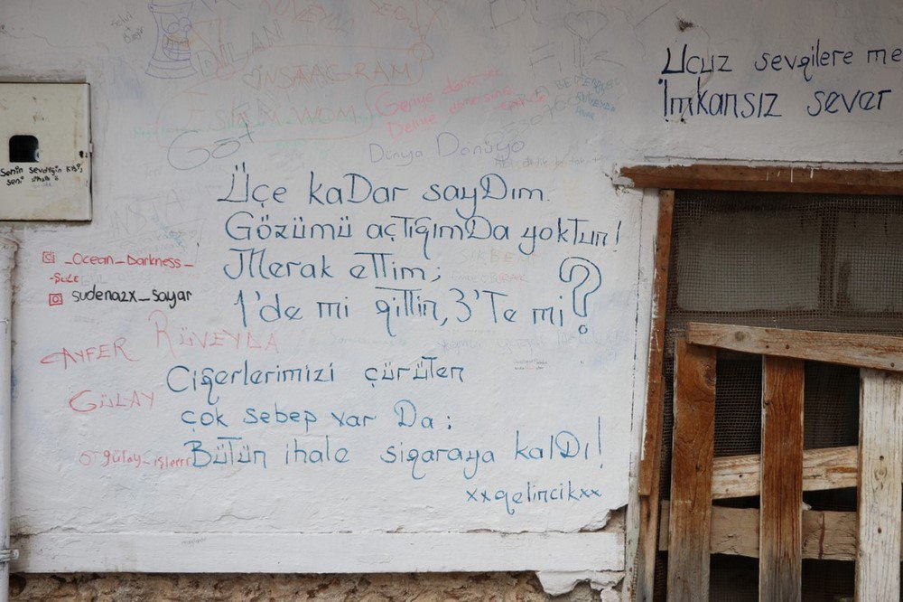 large.IMG_7062.JPG.52ccf4908a15c2e118f35