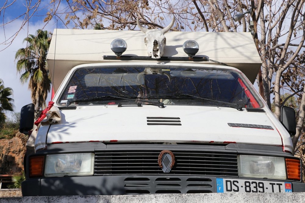 large.IMG_7130.JPG.4aef8fd605c2bd2b00861