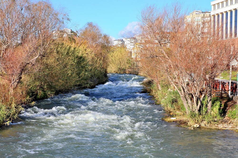 large.IMG_7136.JPG.3ea530dbf034c47391429