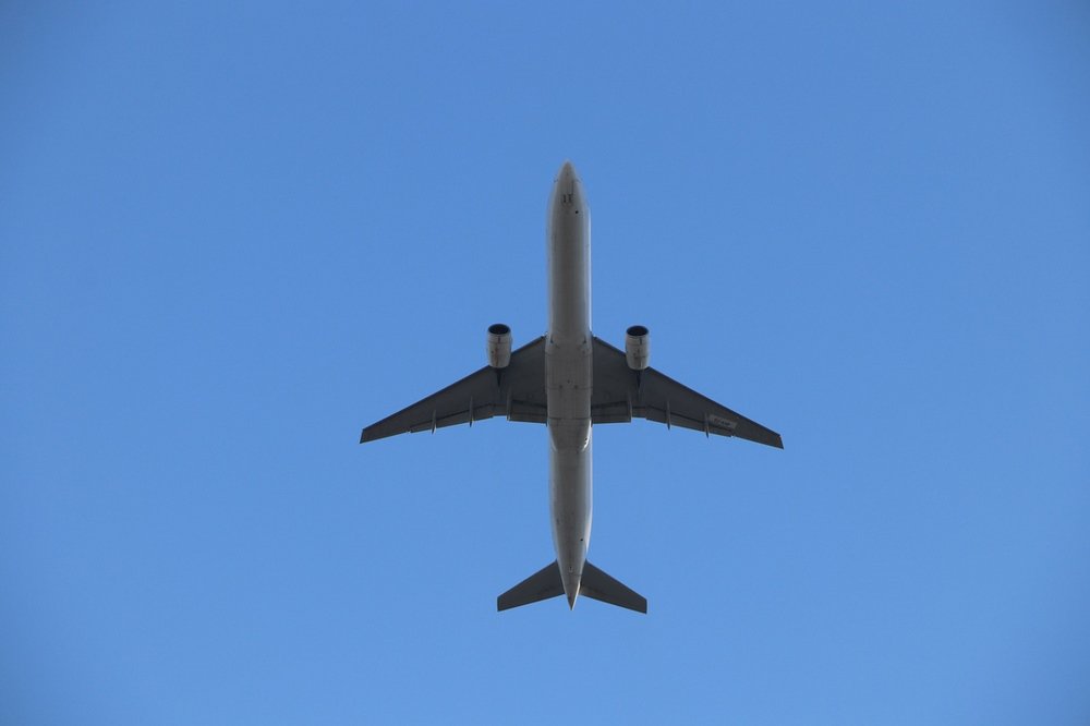 large.IMG_7224.JPG.34700370a68b043371a17