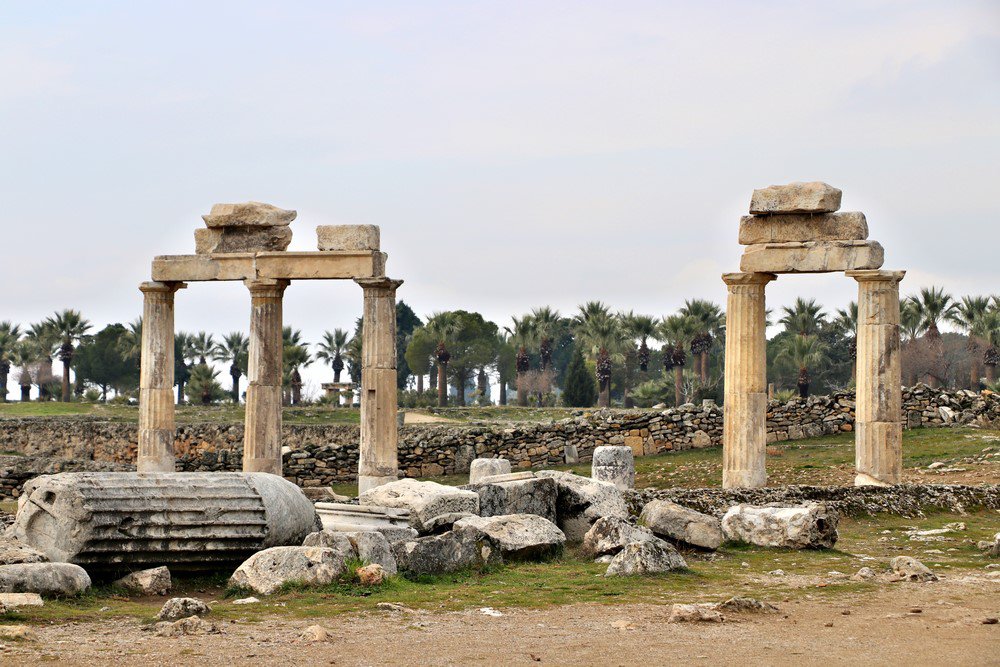 large.IMG_7315.JPG.c36ac7683b5712d7cd8d7