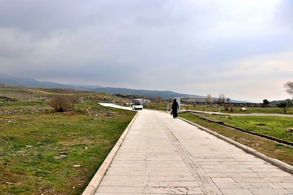 large.IMG_7321.JPG.bdc8c60cec44c541257a1