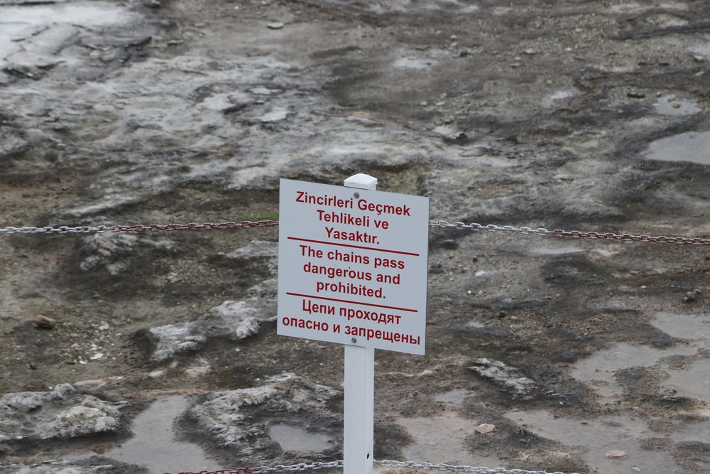 large.IMG_7356.JPG.048b77ea0aa3e22a41d2b