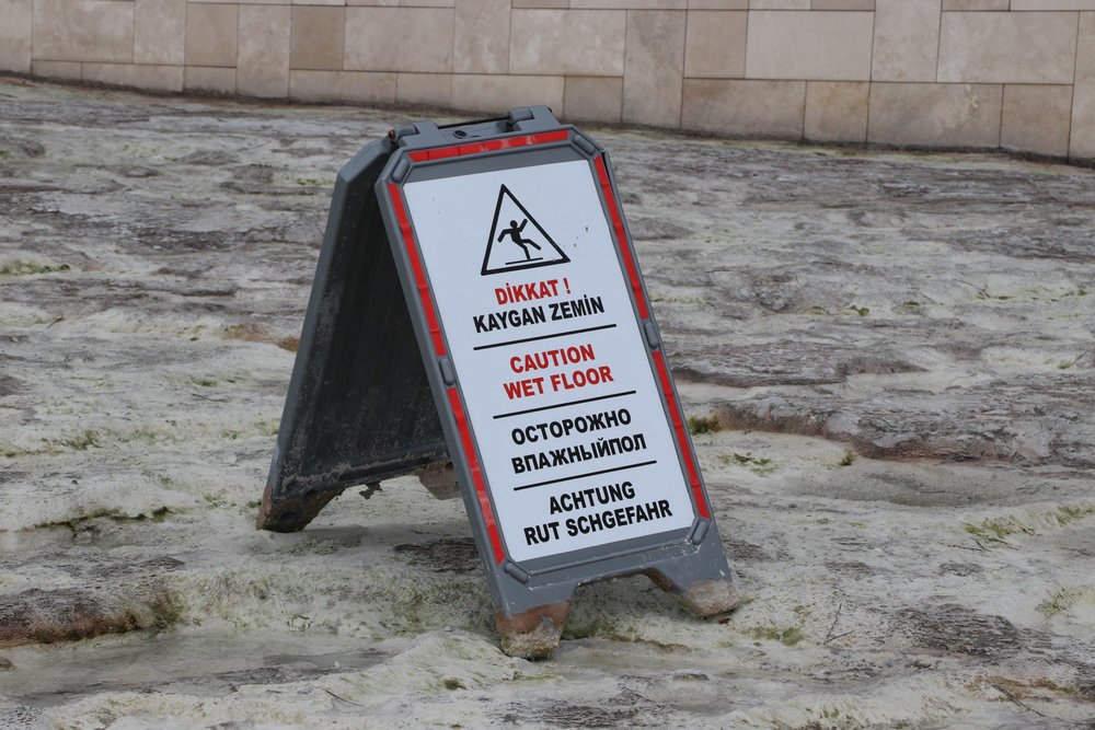 large.IMG_7366.JPG.93ce3aaef4312f094ac78