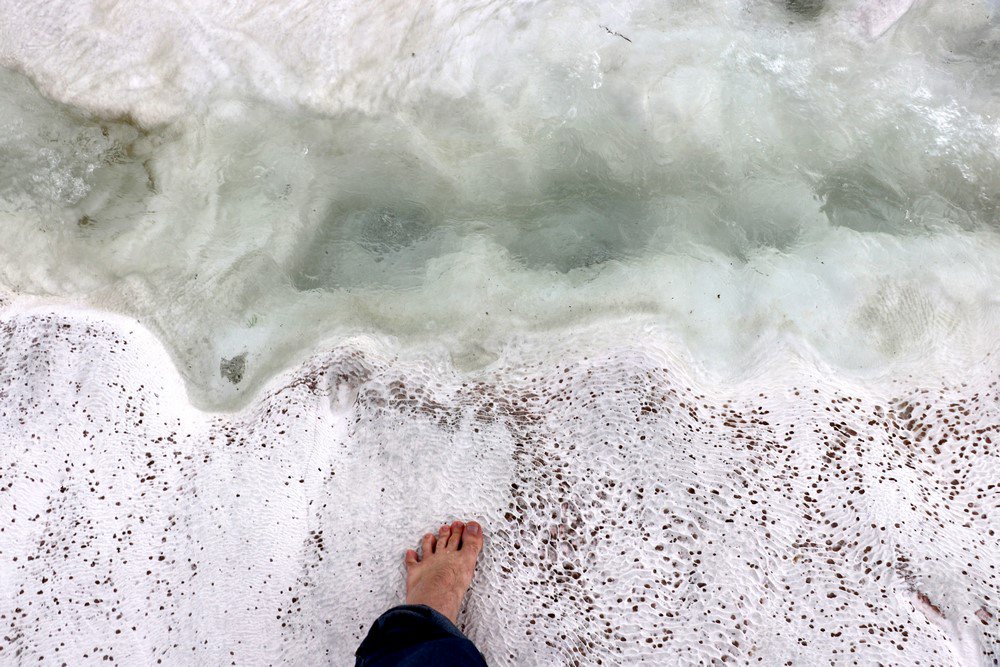 large.IMG_7396.JPG.17ec3a9ee8f4dc857b7d1