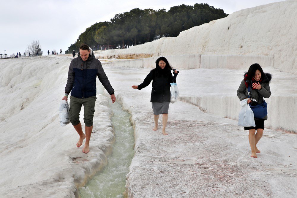 large.IMG_7403.JPG.7923f47d6b1a39e66a5cb