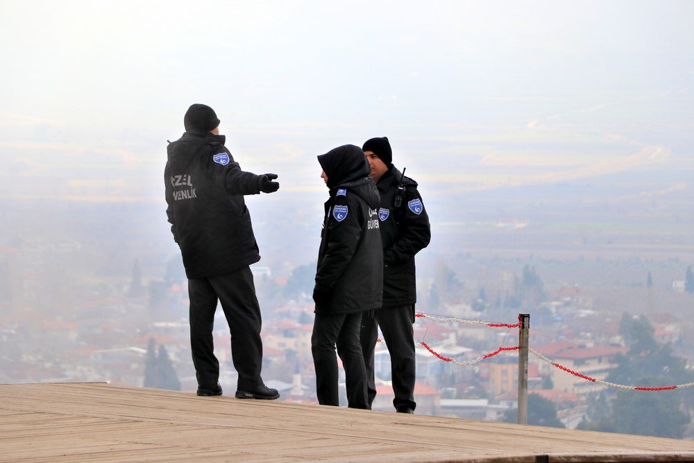 large.IMG_7428.JPG.6d0583865fed79e0fd74f