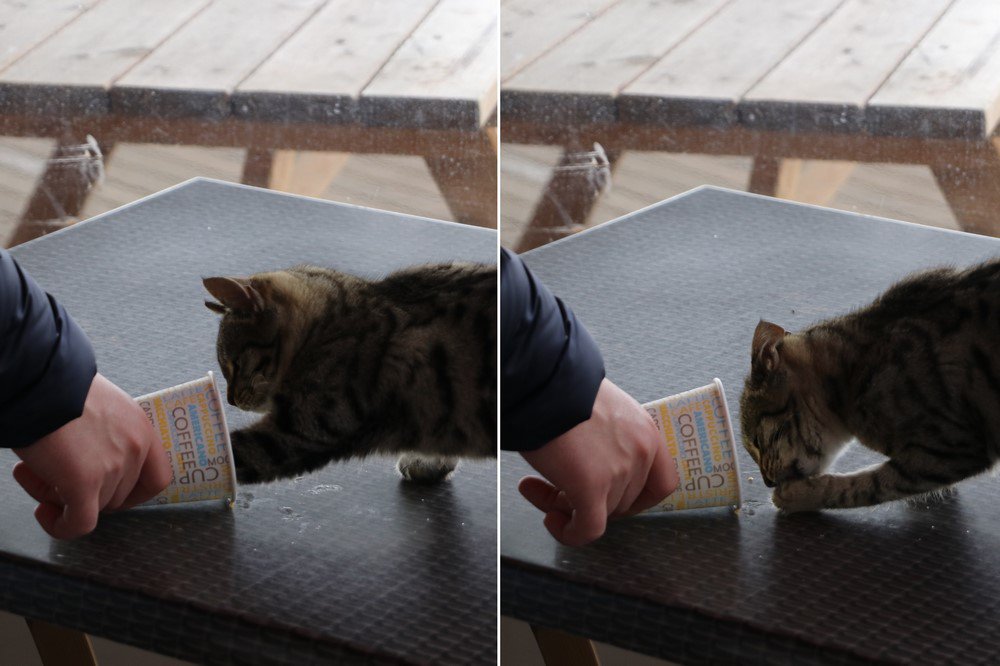 large.IMG_7432.JPG.7e021d286d7fcc943947d