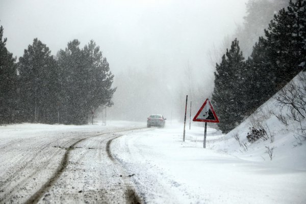 IMG_7673.JPG