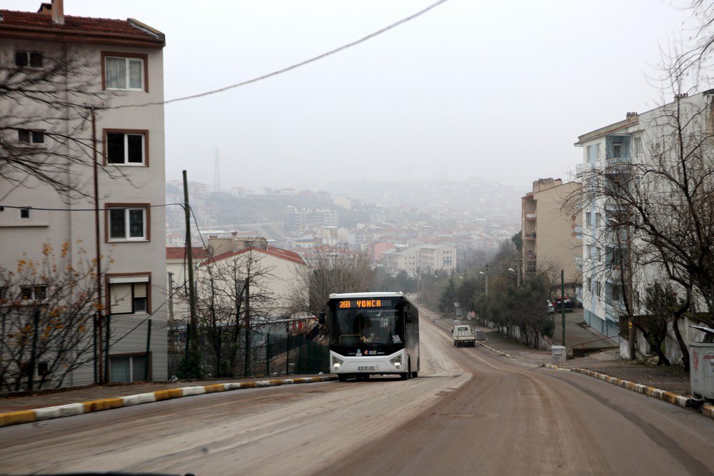 large.IMG_5246.JPG.bae3a6a191212877d520f