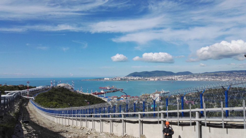 красота.jpg
