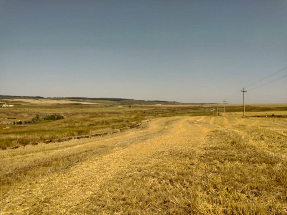 IMG-20220703-WA0000[1].jpg