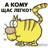 Вася