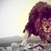 Leo25