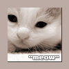 Meow