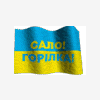 vop2002
