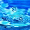 Liquid