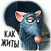 KURYER