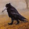 pohmeloff