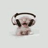 Free-maks777