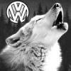 Volk0308