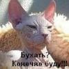 Лёха 4Х4 Vsem p...c!